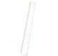 Loupe Règle 30 cm graduée